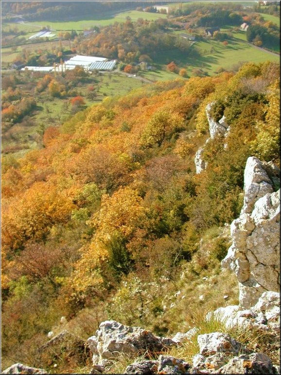 DSCN0015005