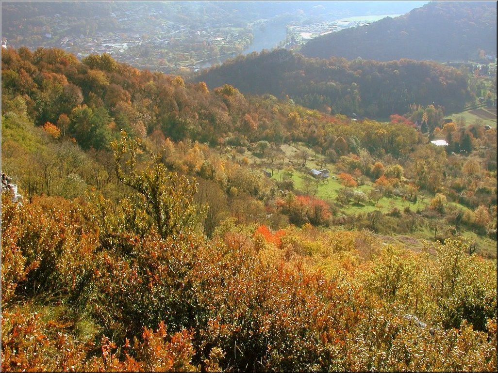 DSCN0015010