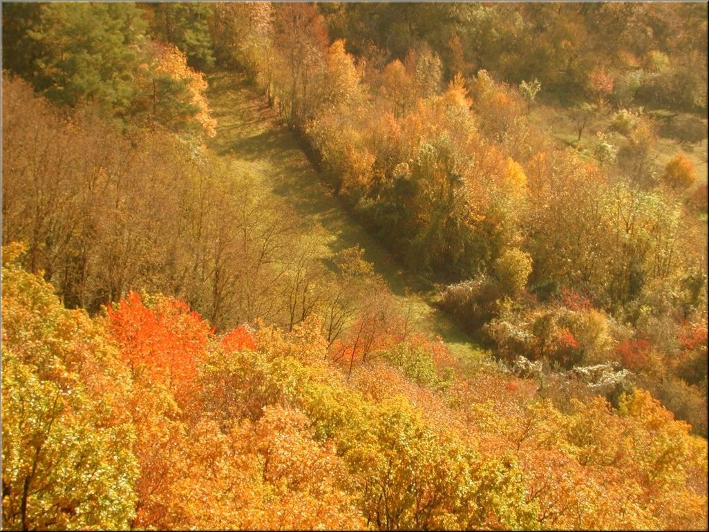 DSCN0015047