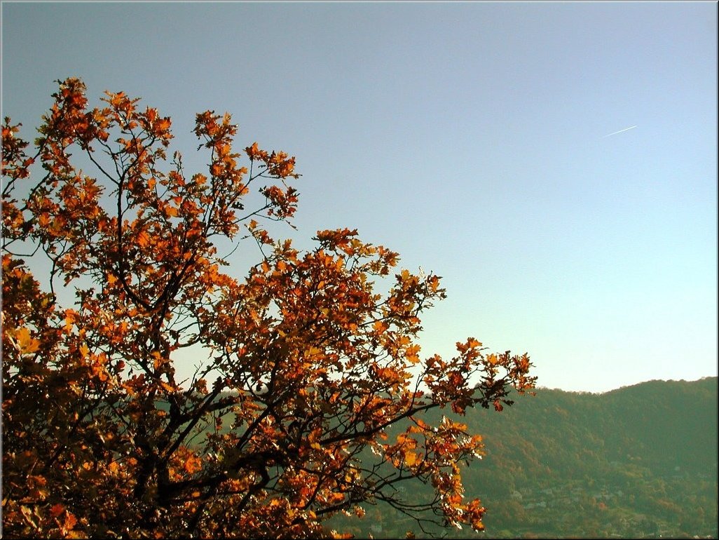 DSCN0015055
