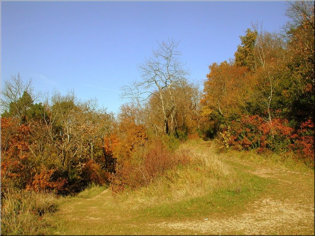 DSCN0015072