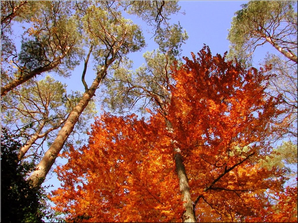 DSCN0015092