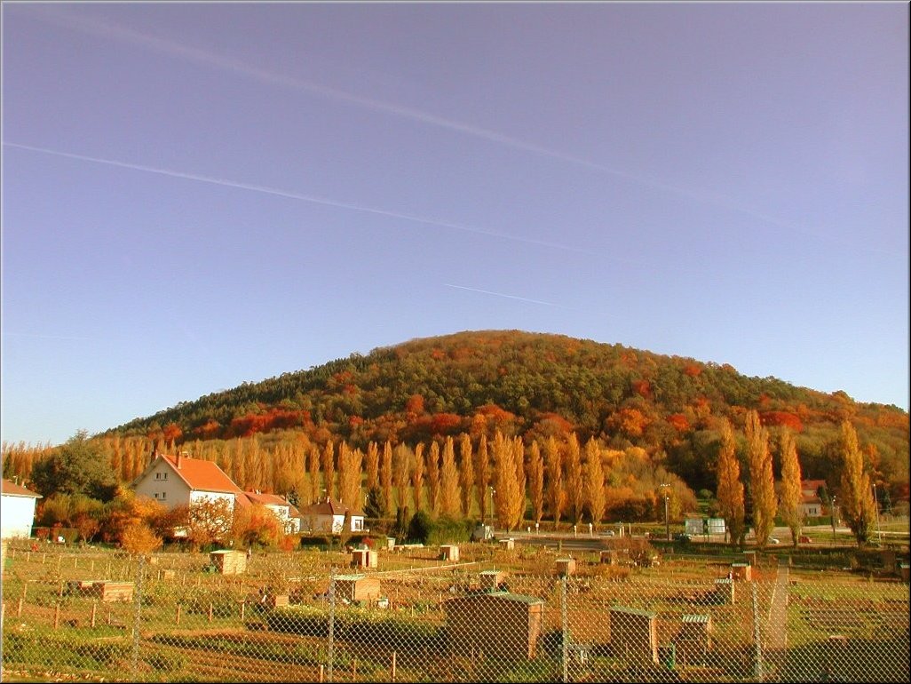 DSCN0015134