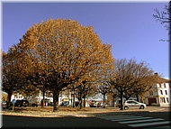 DSCN0014819