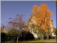 DSCN0014822