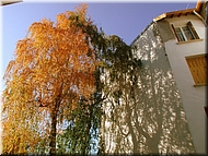 DSCN0014823