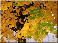 DSCN0014825
