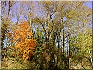 DSCN0014827