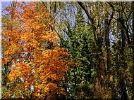 DSCN0014828