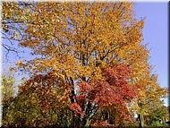 DSCN0014829