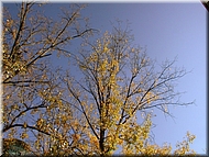 DSCN0014835