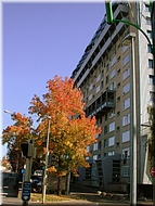 DSCN0014836