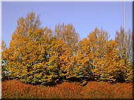 DSCN0014839