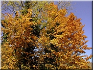 DSCN0014851