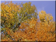 DSCN0014852
