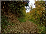 DSCN0014870