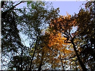 DSCN0014875