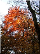 DSCN0014877