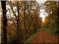 DSCN0014878