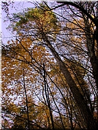 DSCN0014879