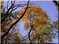 DSCN0014885