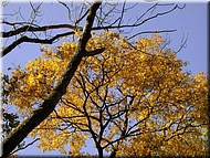 DSCN0014886