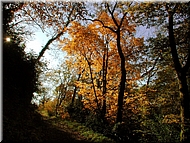 DSCN0014889