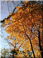 DSCN0014890