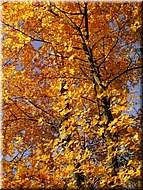 DSCN0014891