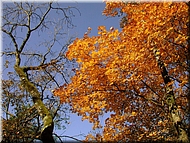 DSCN0014892