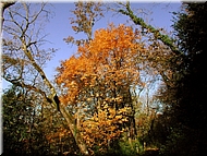 DSCN0014894