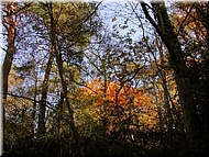 DSCN0014914
