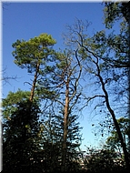 DSCN0014916