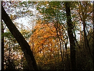 DSCN0014917