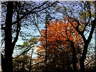 DSCN0014918