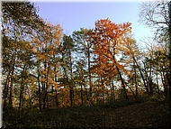 DSCN0014919