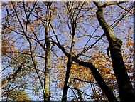DSCN0014922