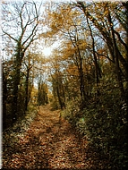 DSCN0014923