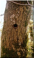 DSCN0014924
