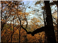 DSCN0014926