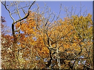 DSCN0014927