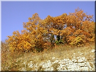 DSCN0014928
