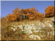DSCN0014929