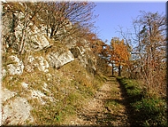 DSCN0014930
