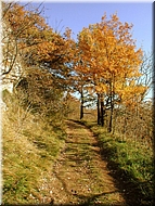 DSCN0014931