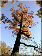 DSCN0014932