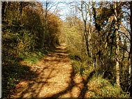 DSCN0014933