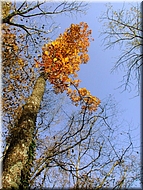 DSCN0014934