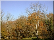 DSCN0014944