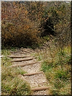 DSCN0014956
